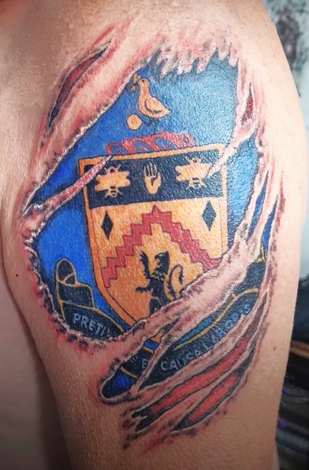 Futbol Ligi Logo Dövmeleri